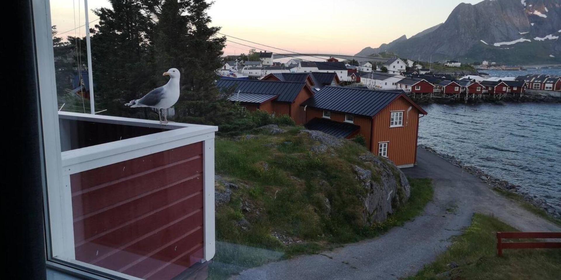 Lofoten Panoramic Luxury Home With Sauna Moskenes Exteriér fotografie