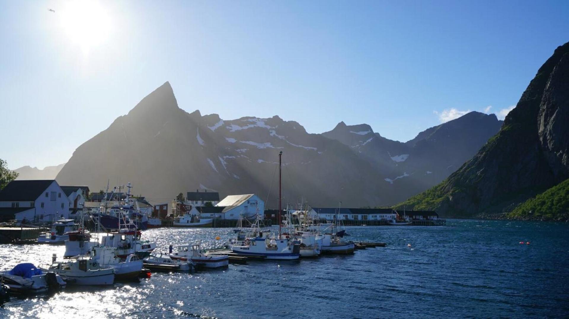 Lofoten Panoramic Luxury Home With Sauna Moskenes Exteriér fotografie